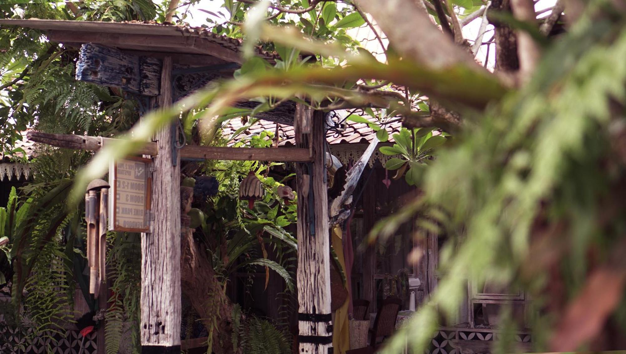 Budarno Homestay Kejayan Extérieur photo
